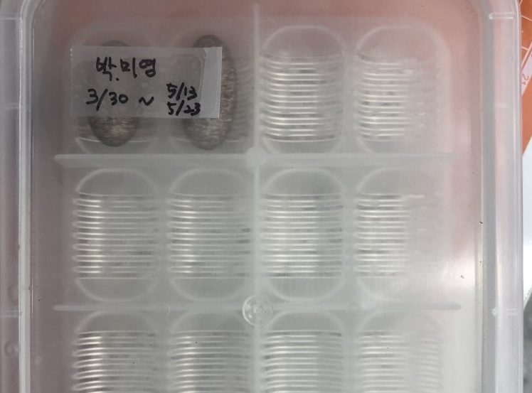 레오파드게코 알 보관 및 메모