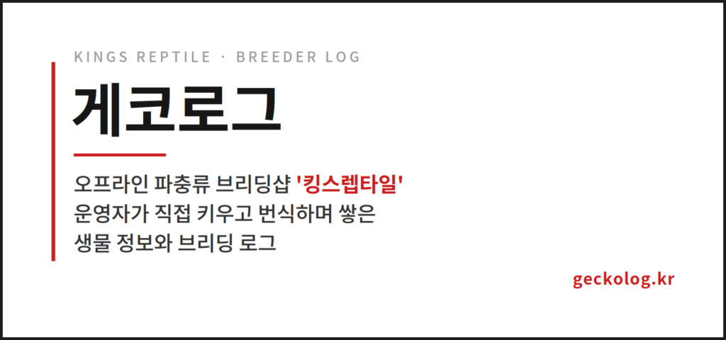 게코로그에 대하여